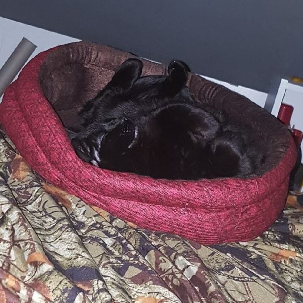 Meet your Posher, Tracy